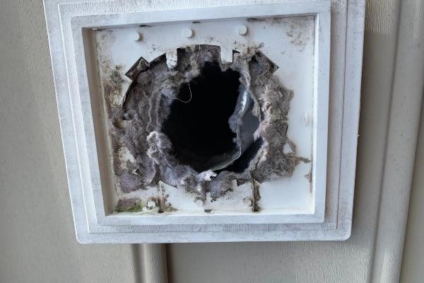Why Dryer Vent Cleaning Matters