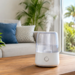Indoor Humidity Control Florida Homes Need